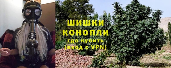 стаф Верхний Тагил