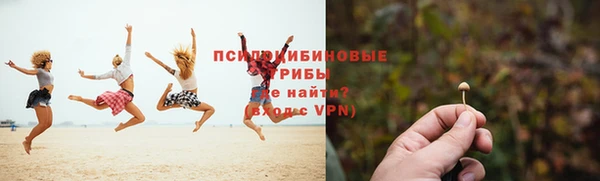 МДПВ Верея