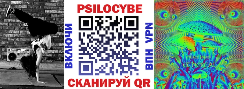 Купить закладки  Алексин  Галлюциногенные грибы GOLDEN TEACHER 